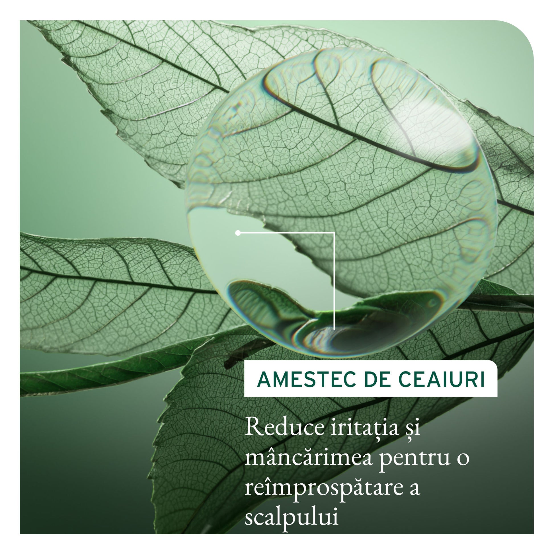 Matrix Biolage Scalp Sync Sampon Antimatreata 400ml - Pentru Scalp Predispus la Matreata