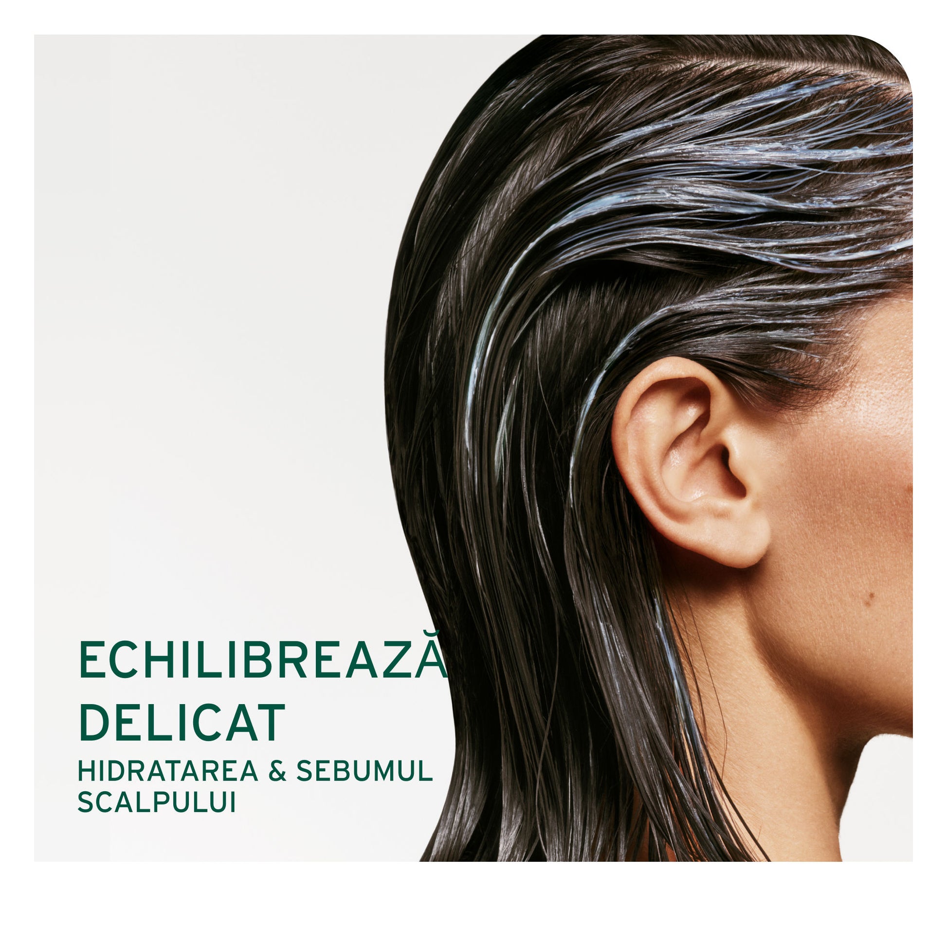 Matrix Biolage Scalp Sync Sampon Antimatreata 400ml - Pentru Scalp Predispus la Matreata