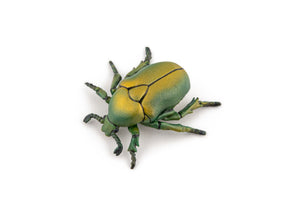 Papo Animale Salbatice Figurina Carabus