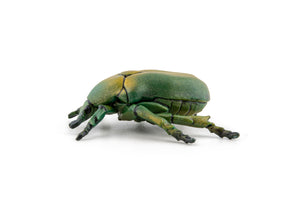 Papo Animale Salbatice Figurina Carabus