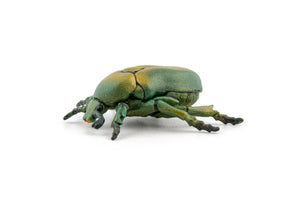 Papo Animale Salbatice Figurina Carabus