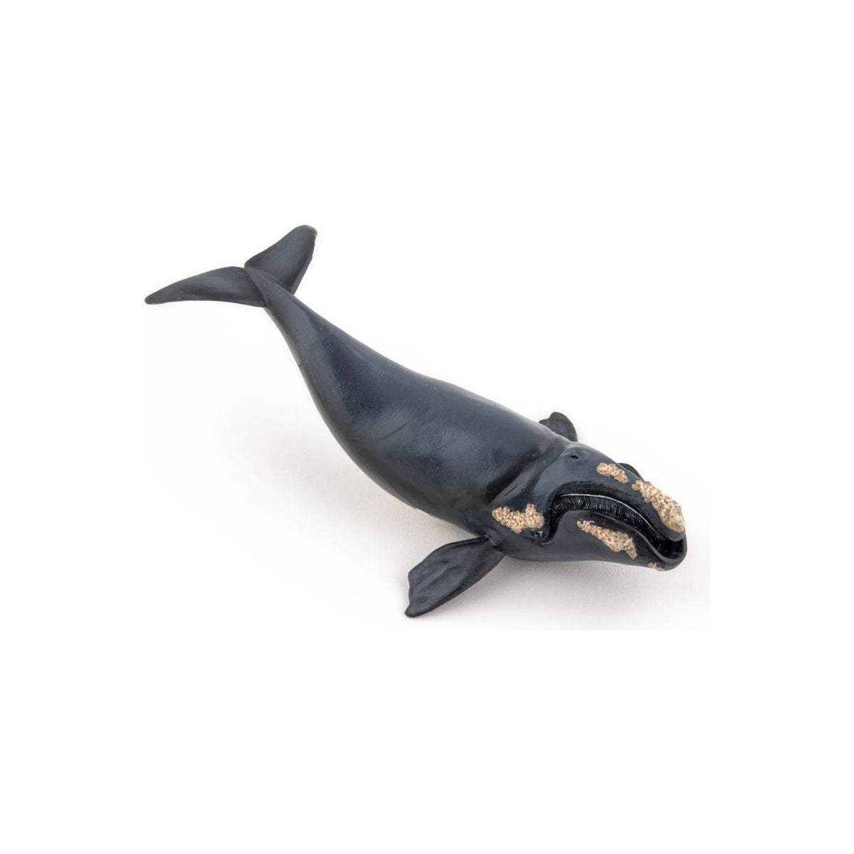 Papo Universul Acvatic Figurina Balena