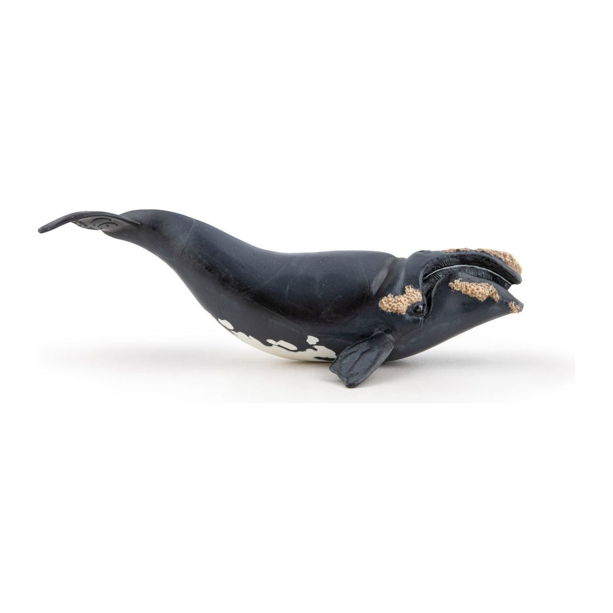 Papo Universul Acvatic Figurina Balena