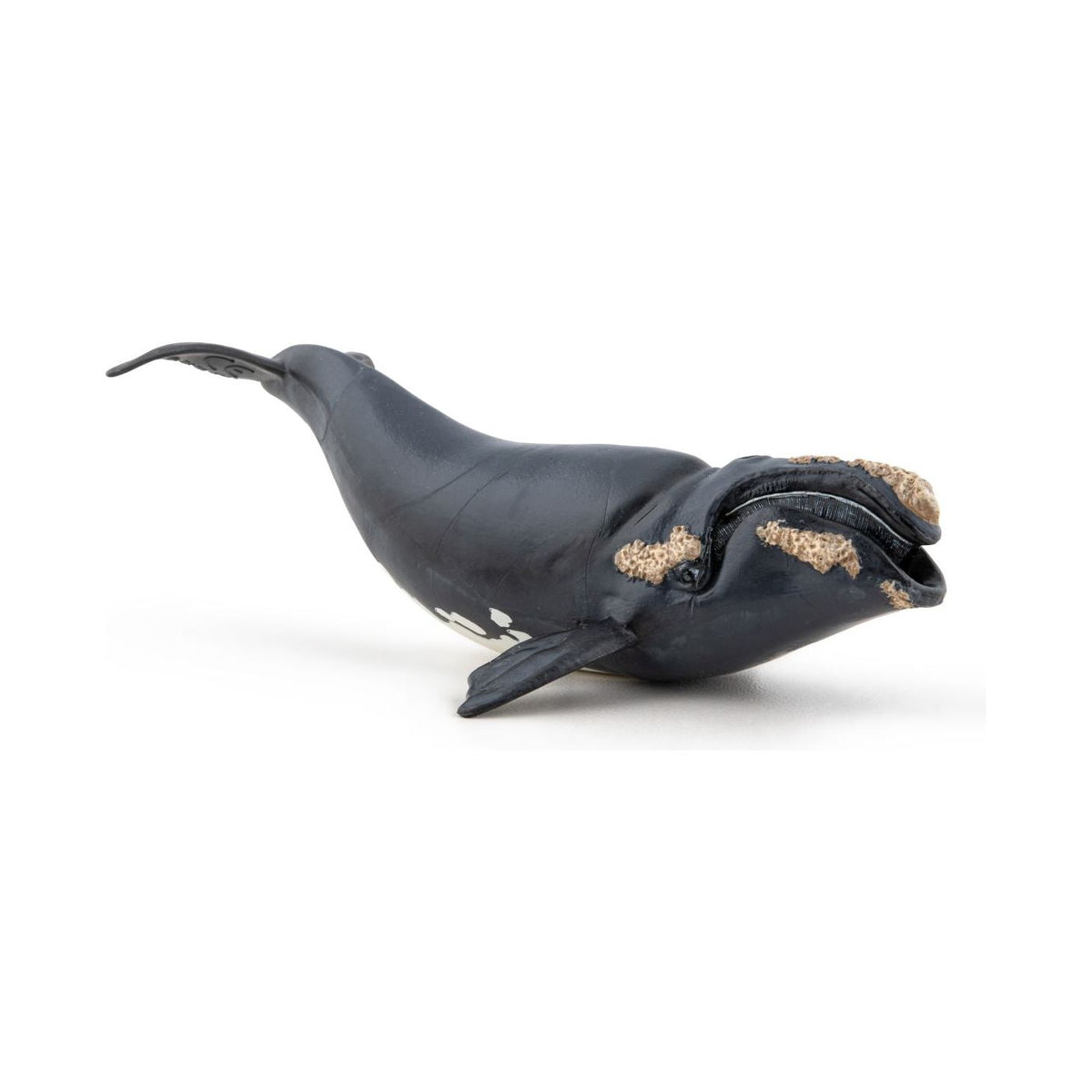 Papo Universul Acvatic Figurina Balena