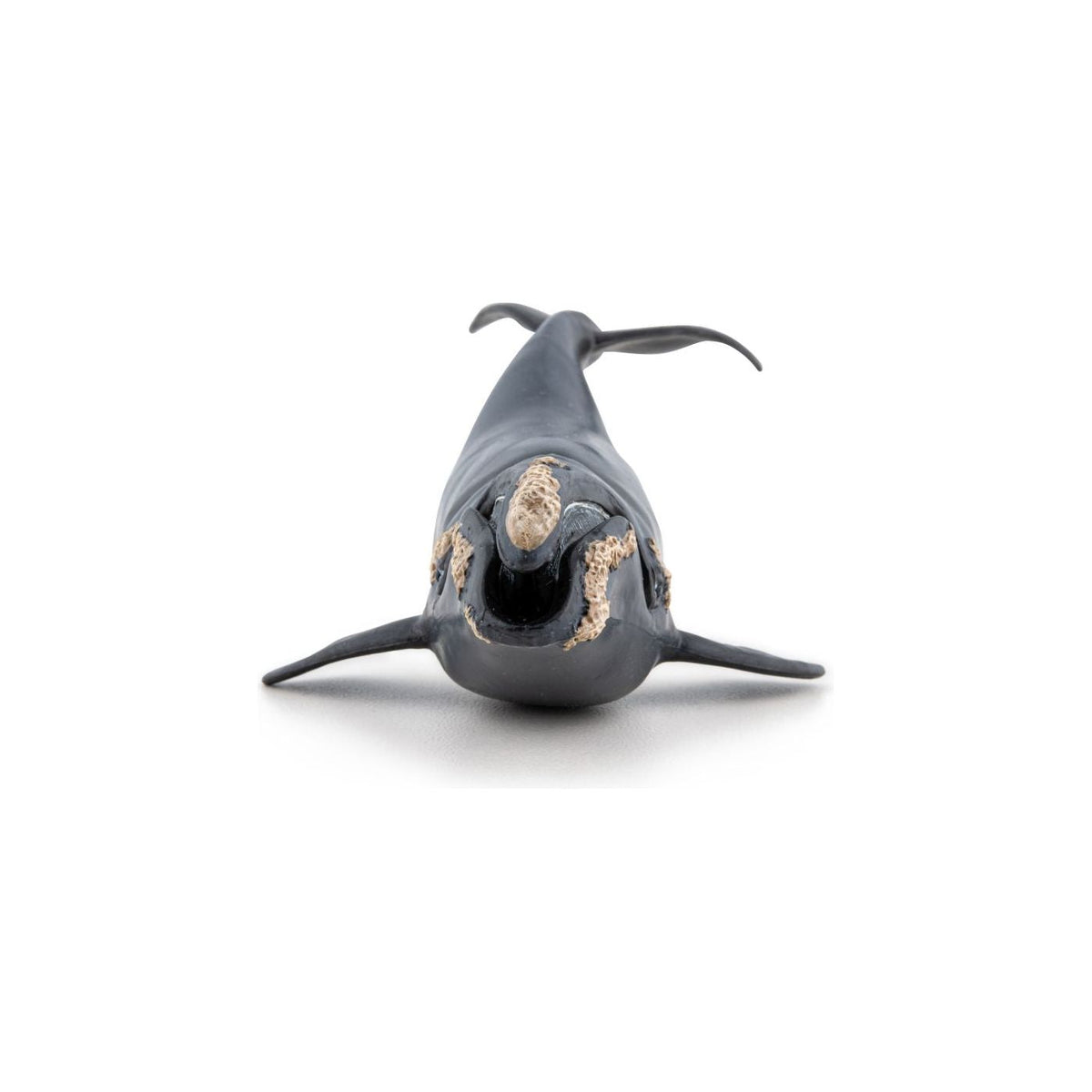 Papo Universul Acvatic Figurina Balena