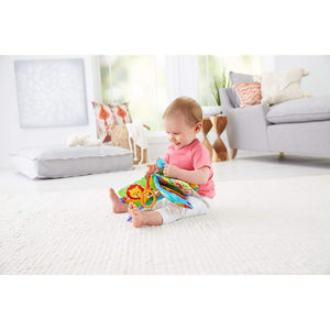 Fisher Price Carticica cu Numere si Activitati