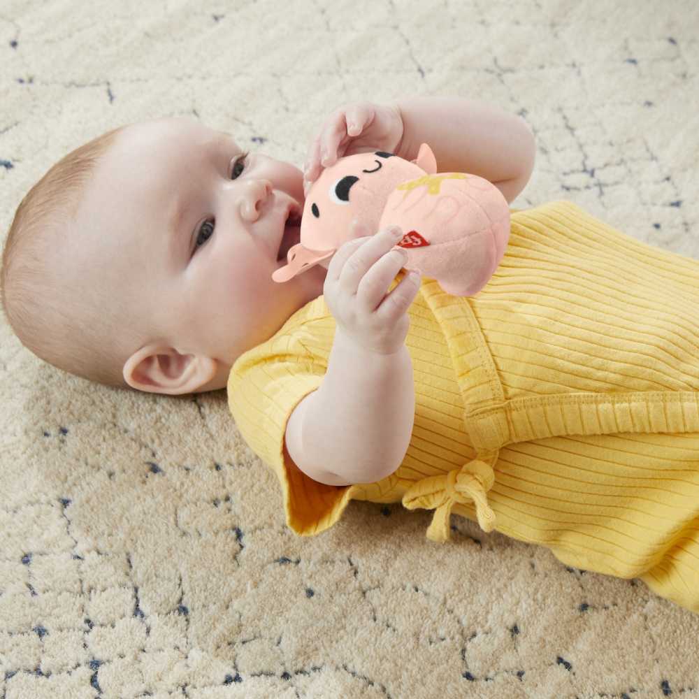Fisher Price Set 4 Jucarii 28cm
