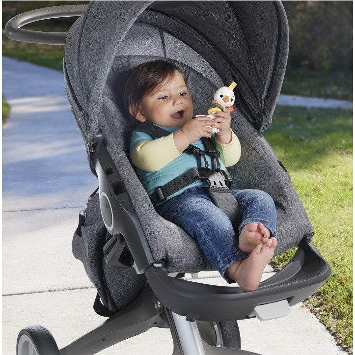 Fisher Price Jucarie Zornaitoare Gasca