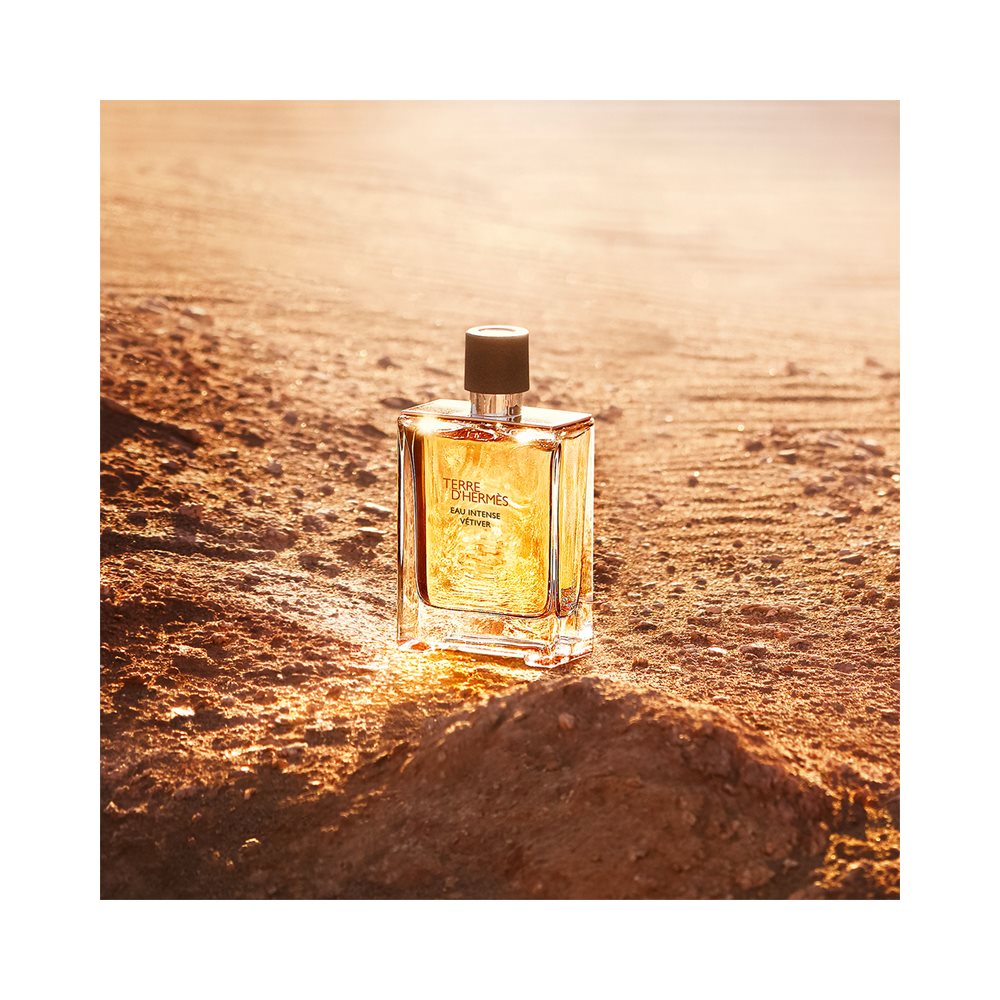 Hermes Terre D'Hermes Vetiver Eau de Parfums 100ml - Pentru Barbati