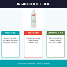 Încarcă imaginea în Galerie, Moroccanoil Hydrating Conditioner 250ml - Balsam Hidratant - Beauty Lounge
