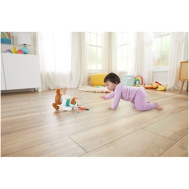 Fisher Price Catelus Crawl With Me 27cm