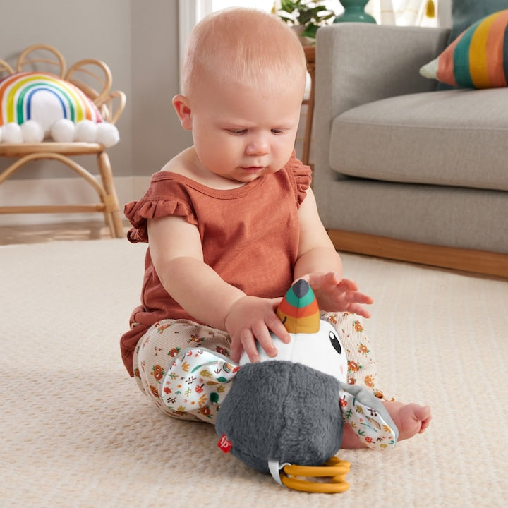 Fisher Price Jucarie Tucan de Plus 31cm