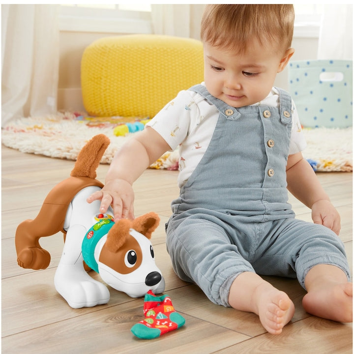 Fisher Price Catelus Crawl With Me 27cm