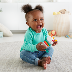 Fisher Price Jucarii Zornaitoare Lama Multicolora