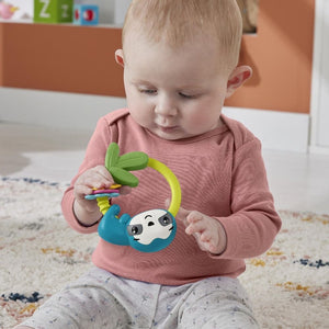 Fisher Price Jucarie Zornaitoare Lenes