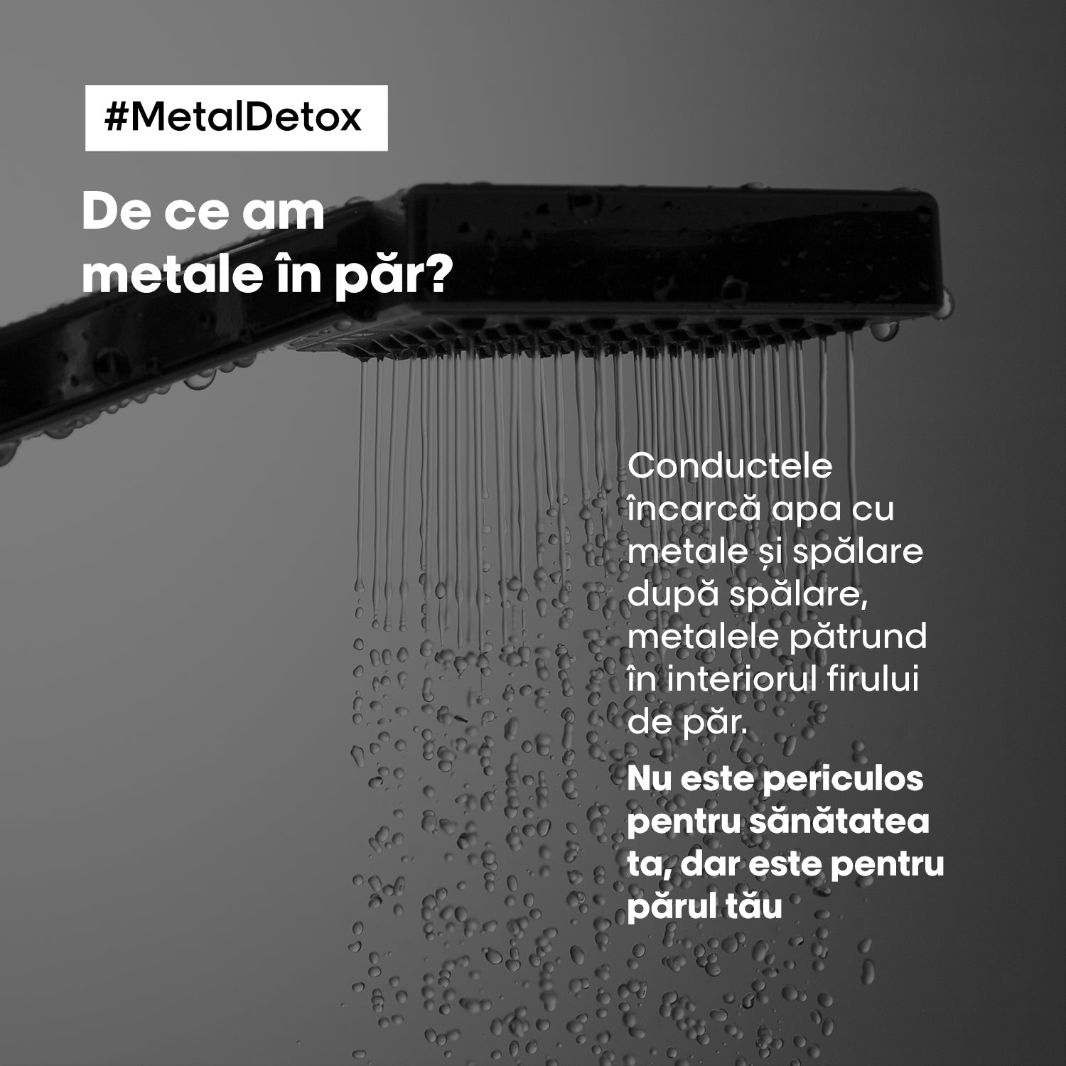 L'Oreal Professionnel SE Metal Detox Crema Profesionala Fara Clatire 100ml - Beauty Lounge