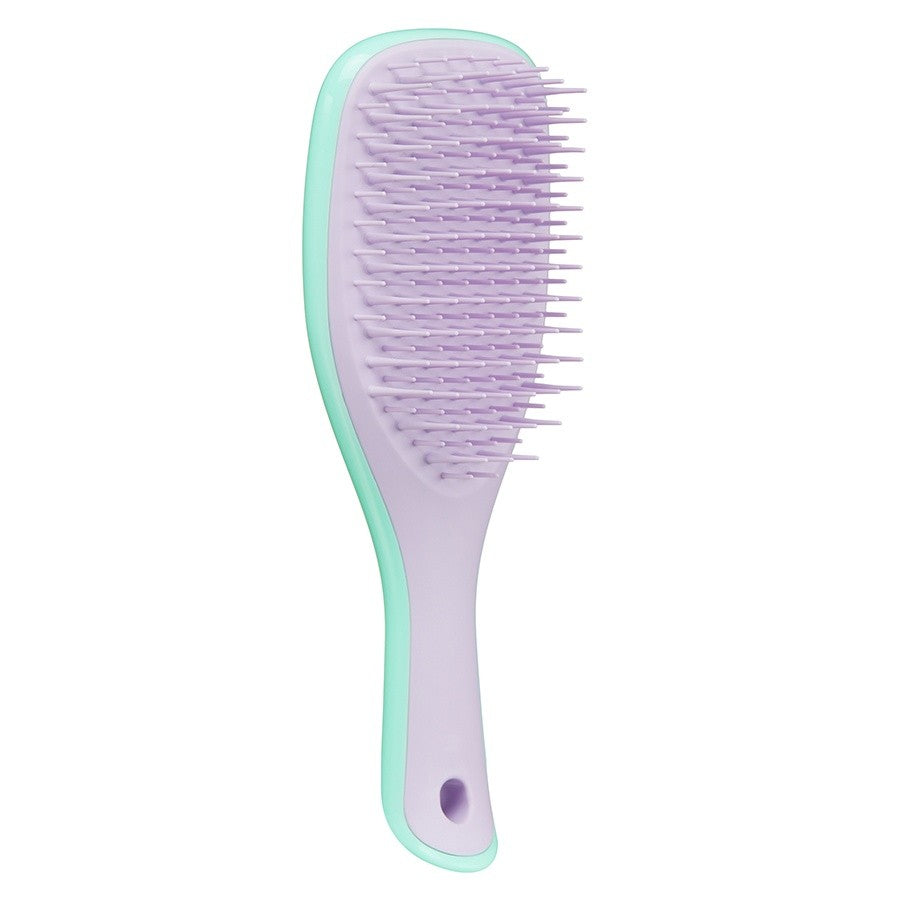Tangle Teezer Mini Wet Detangler Mint/Lilac - Perie pentru Par Mini