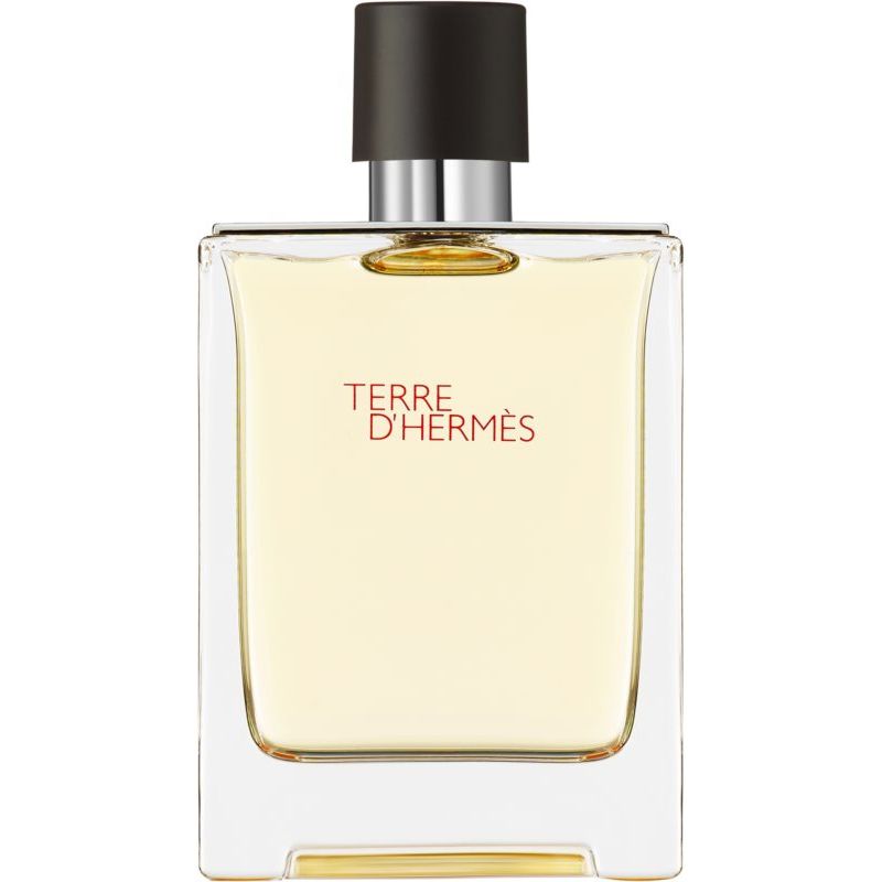 Hermes Terre D'Hermes Eau de Toilette 100ml - Pentru Barbati