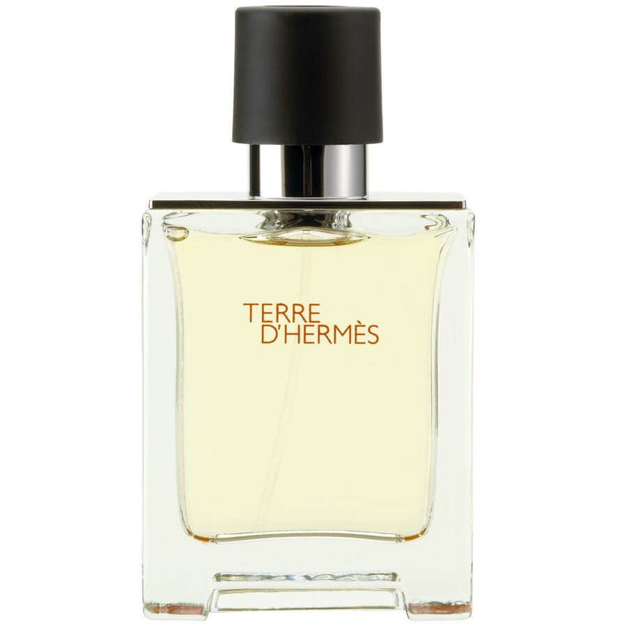 Hermes Terre D'Hermes Eau de Parfums 50ml - Pentru Barbati