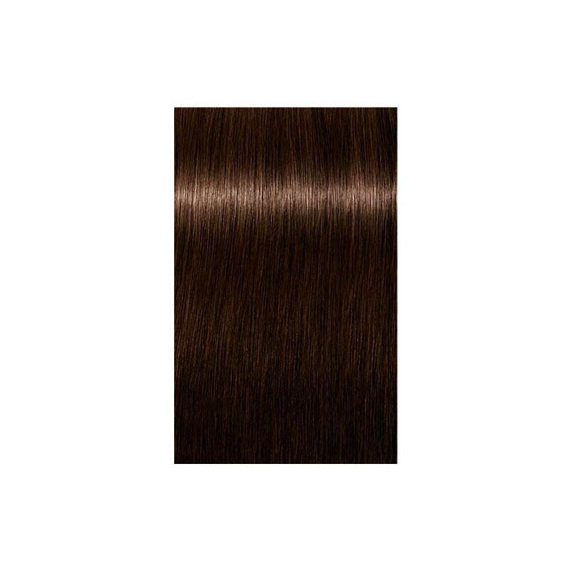Schwarzkopf Professional Igora Royal Vopsea Absolutes 4-60 60ml