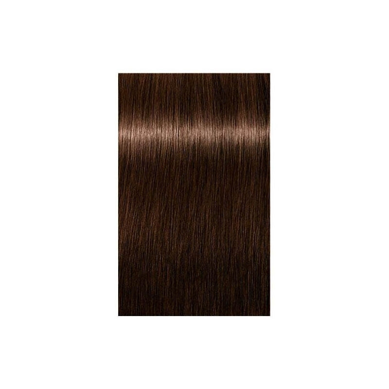 Schwarzkopf Professional Igora Royal Vopsea Absolutes 5-60 60ml