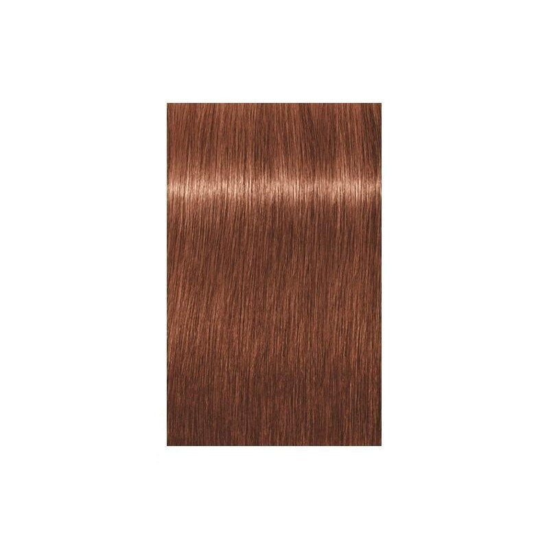 Schwarzkopf Professional Igora Royal Vopsea Absolutes 7-56 60ml