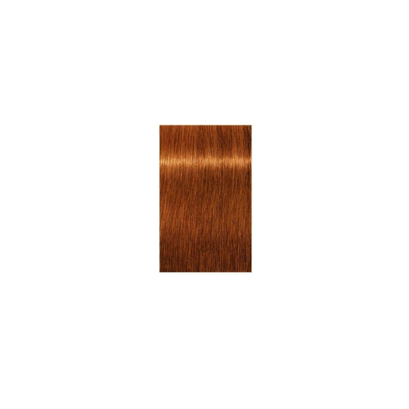 Schwarzkopf Professional Igora Royal Vopsea Absolutes 7-70 60ml